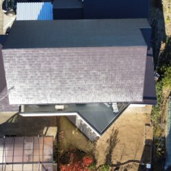 屋根・外壁塗装専門店　根本総業本日の折込チラシ