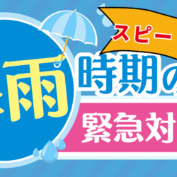 　根本総業神栖鹿嶋店　本日は雨漏りについて・・・