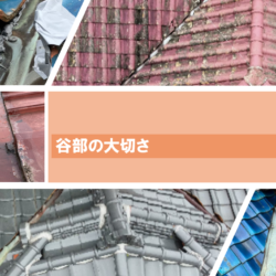 本谷の大切さ・・・