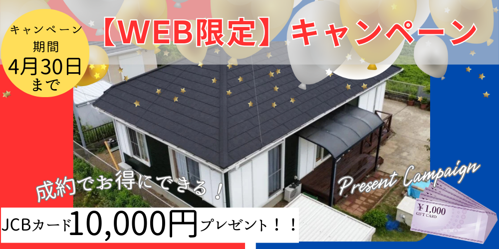 【WEB限定キャンペーン】