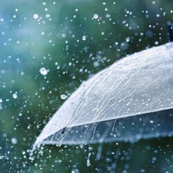 雨漏りの最後の砦！？ルーフィングとは？