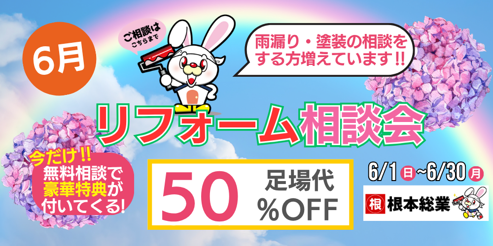 【WEB限定キャンペーン】