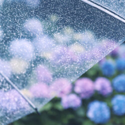 梅雨の湿気対策