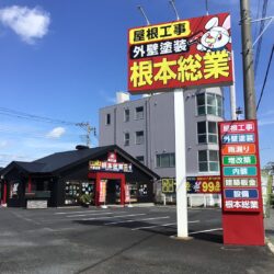 軒天✍️(◔◡◔)
