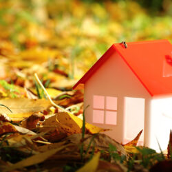 店舗部分 屋根葺き替え工事