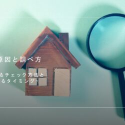 石岡店◇4月の折り込みチラシ🌸春の塗装祭り