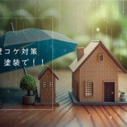 別荘外壁のコケ対策は塗装を!🌳