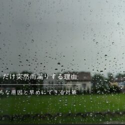 大雨のときだけ突然雨漏りする理由