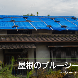 屋根ブルーシート寿命はどのくらい?